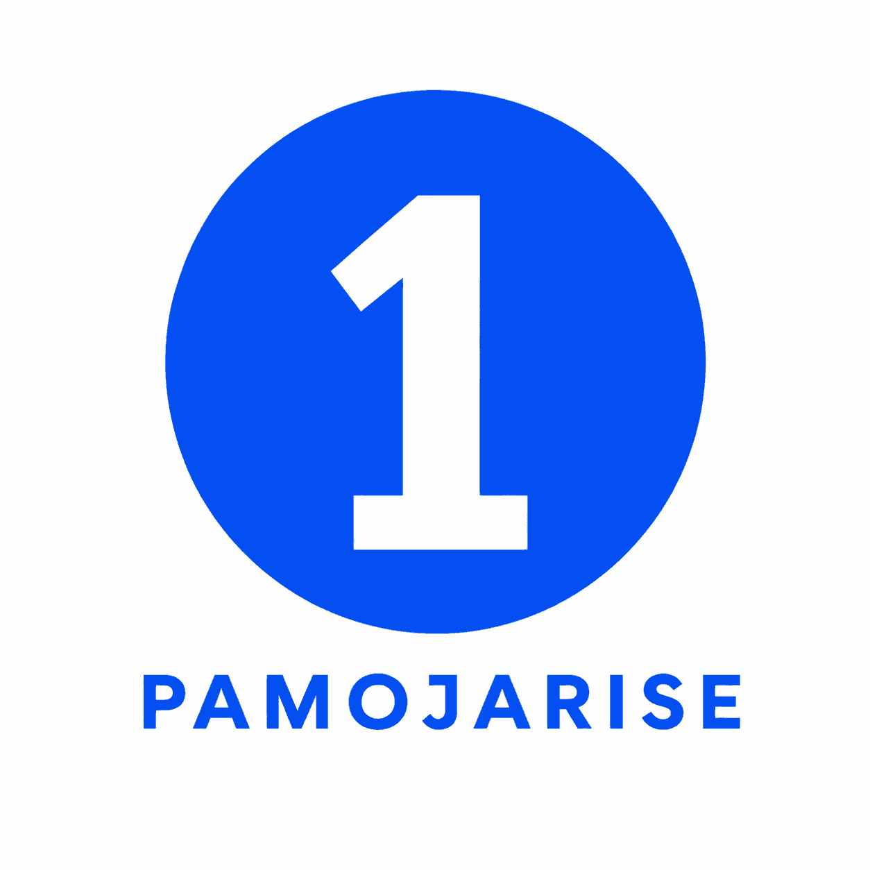 PAMOJARISE Vikoba MS